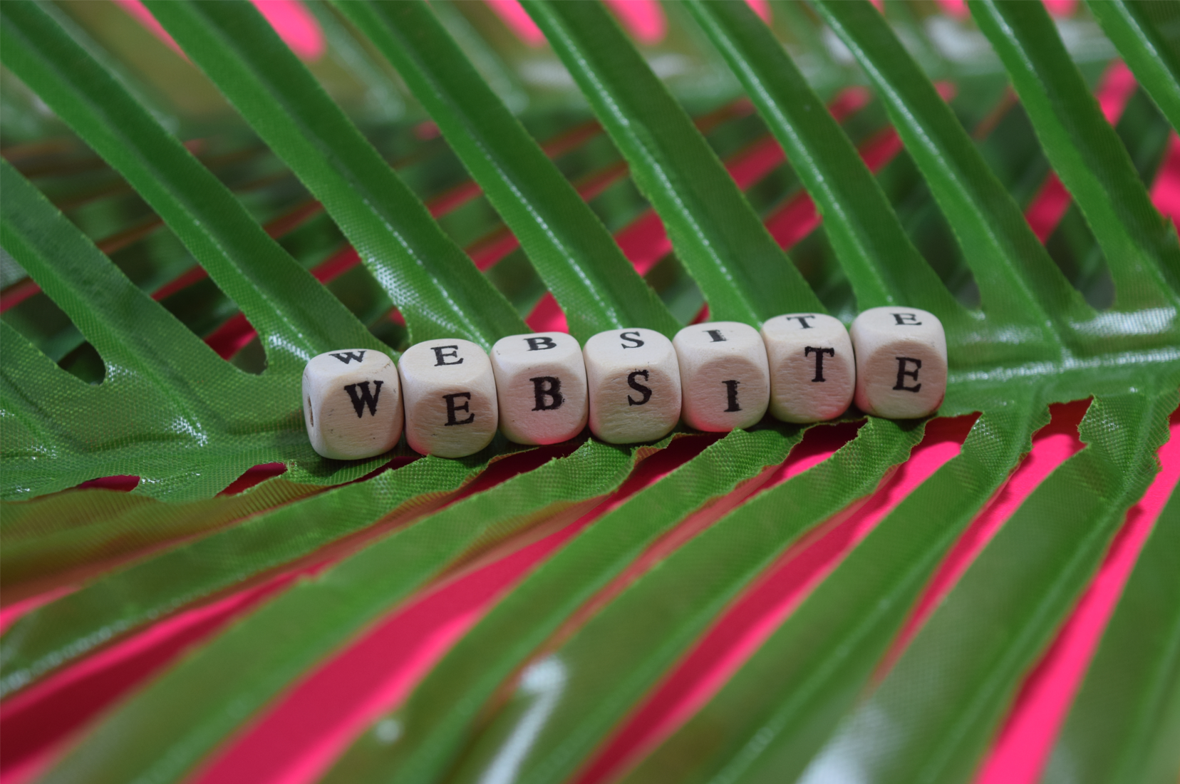 Why Websites?